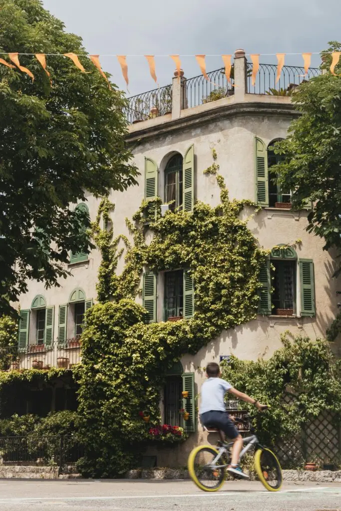 Climbing vines in Aix-en-Provence. Photo by Vincent M.A. Janssen